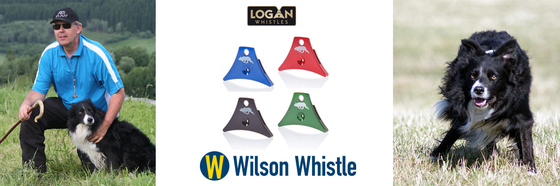 Logan-Wilson